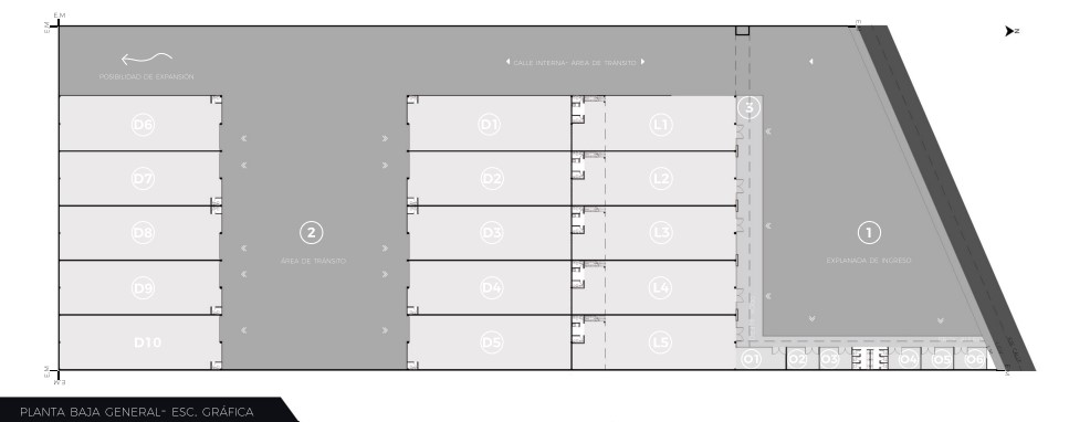 Plan Maestro del Desarrollo